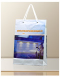 Promotional Bag In Transparent Plastic Alco Garages bagobag
