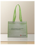 PP Non Woven Taschen VITA 34