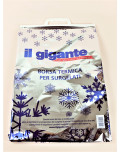 il_gigante_11069_detail_1