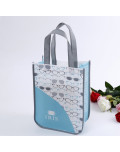 PP Non Woven Tasche IRIS