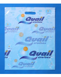 sac_en_plastique_personnalisé_poignée_soudé_quail_bagobag
