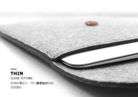 sleeve case 2