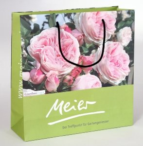 Papiertaschen drucken mit Fotomotiv Schweiz Sackerl